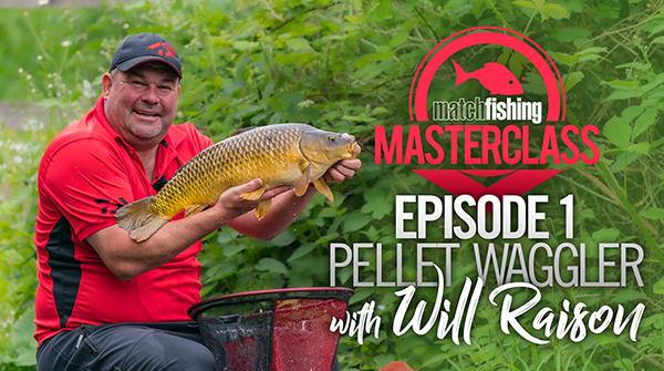 Match Fishing Masterclass - Will Raison - Pellet Waggler (Video) | Match  Fishing